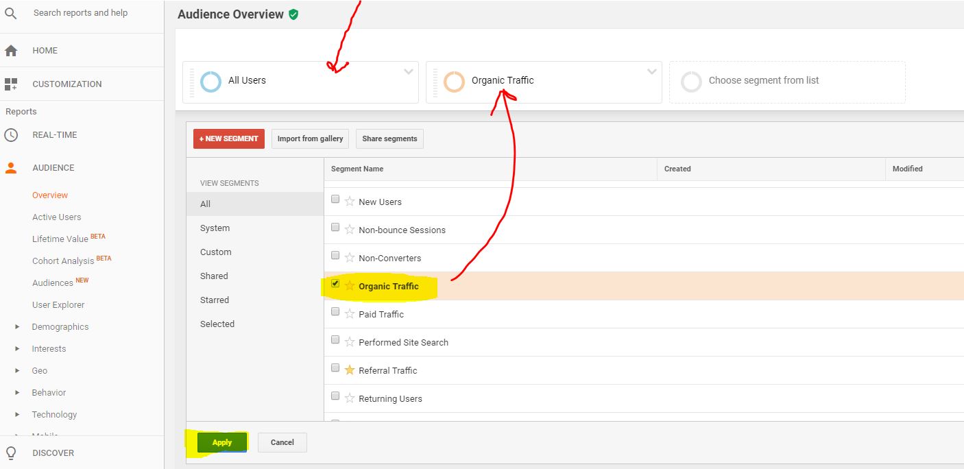 traffico organico-google-analytics